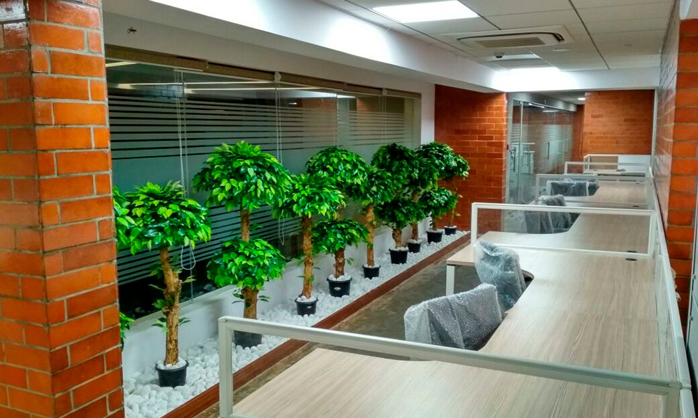 mahathi-softwares-head-office7